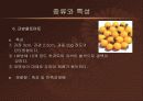 방울토마토의 활용  11페이지