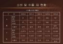 방울토마토의 활용  17페이지