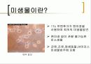 미생물의 분류 3페이지