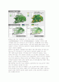 지구온난화 (global warming) 5페이지