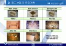 사업계획서(자동차 중고부품 유통업 부품마을) 25페이지