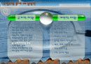 환경오염의 실태 와 해결방안-PPT 발표자료 17페이지