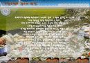 환경오염의 실태 와 해결방안-PPT 발표자료 20페이지