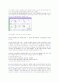 성교육과 성매매 2페이지