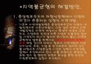 (사회문제) 지역간 불균형 발전 문제의 원인과 현황 분석 및 지역간불균형 발전의 해결책 제시 15페이지