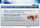 생일 축하 기안서 4페이지