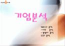 싸이월드 기업분석 8페이지
