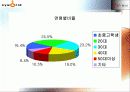 싸이월드 기업분석 15페이지