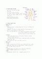 HCC case 4페이지