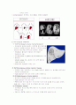 HCC case 6페이지