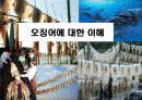 오징어에 대한 이해 1페이지