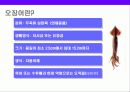 오징어에 대한 이해 3페이지