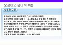 오징어에 대한 이해 8페이지