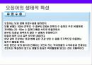 오징어에 대한 이해 9페이지