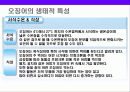 오징어에 대한 이해 10페이지