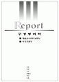 재발성 아프타성 궤양과 외상성 궤양에 대한 조사보고서 (출처有,표지有,사진有) 1페이지