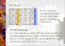 [자동차]자동차타이어의 종류와 특성 20페이지