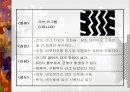 [자동차]자동차타이어의 종류와 특성 23페이지
