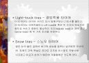 [자동차]자동차타이어의 종류와 특성 27페이지