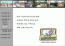 옥상정원 계획과 시공법 7페이지