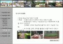 옥상정원 계획과 시공법 9페이지