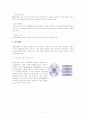 대구은행 17페이지