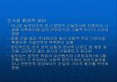 성수대교 붕괴사건 (발생원인과 사고대책) 12페이지