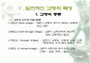 교량에 대하여 11페이지