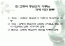 교량에 대하여 13페이지