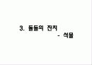 공간위계와 석조기술을 통해 본 도동서원 27페이지