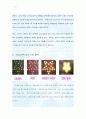 25. LED 활용과 응용 제작 (3) 16페이지