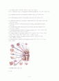 뇌내출혈 ICH ( intracerebral hemorrhage )  5페이지
