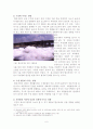 합성세제 사용에 따른 피해와 이에 대한 해결책(합성세제 사용에 대한 인식조사 등) 6페이지