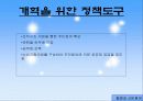 덴마크 파룸시의 행정개혁과 시민참여 10페이지