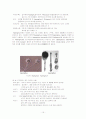 두류의 가공 17페이지