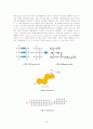 TLC[thin-layer chromatography]얇은막 크로마토그래피 11페이지