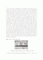(식품화학실험보고서)TLC(얇은 막 크로마토그래피)에 의한 지질의분리 3페이지