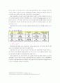 휴대인터넷(Wibro) 사업 전망 3페이지