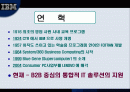 IBM 마케팅분석 2페이지