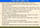 팔레스타인 분쟁 4페이지