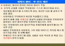 팔레스타인 분쟁 5페이지
