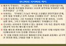 팔레스타인 분쟁 11페이지