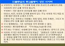 팔레스타인 분쟁 12페이지