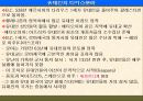 팔레스타인 분쟁 17페이지