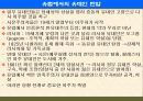 팔레스타인 분쟁 22페이지