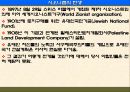 팔레스타인 분쟁 27페이지