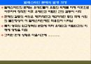 팔레스타인 분쟁 30페이지