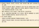 팔레스타인 분쟁 33페이지