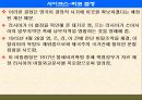 팔레스타인 분쟁 37페이지