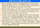 팔레스타인 분쟁 40페이지